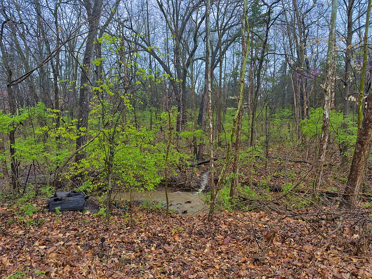 107 Bogie Hills Dr — Photo 33