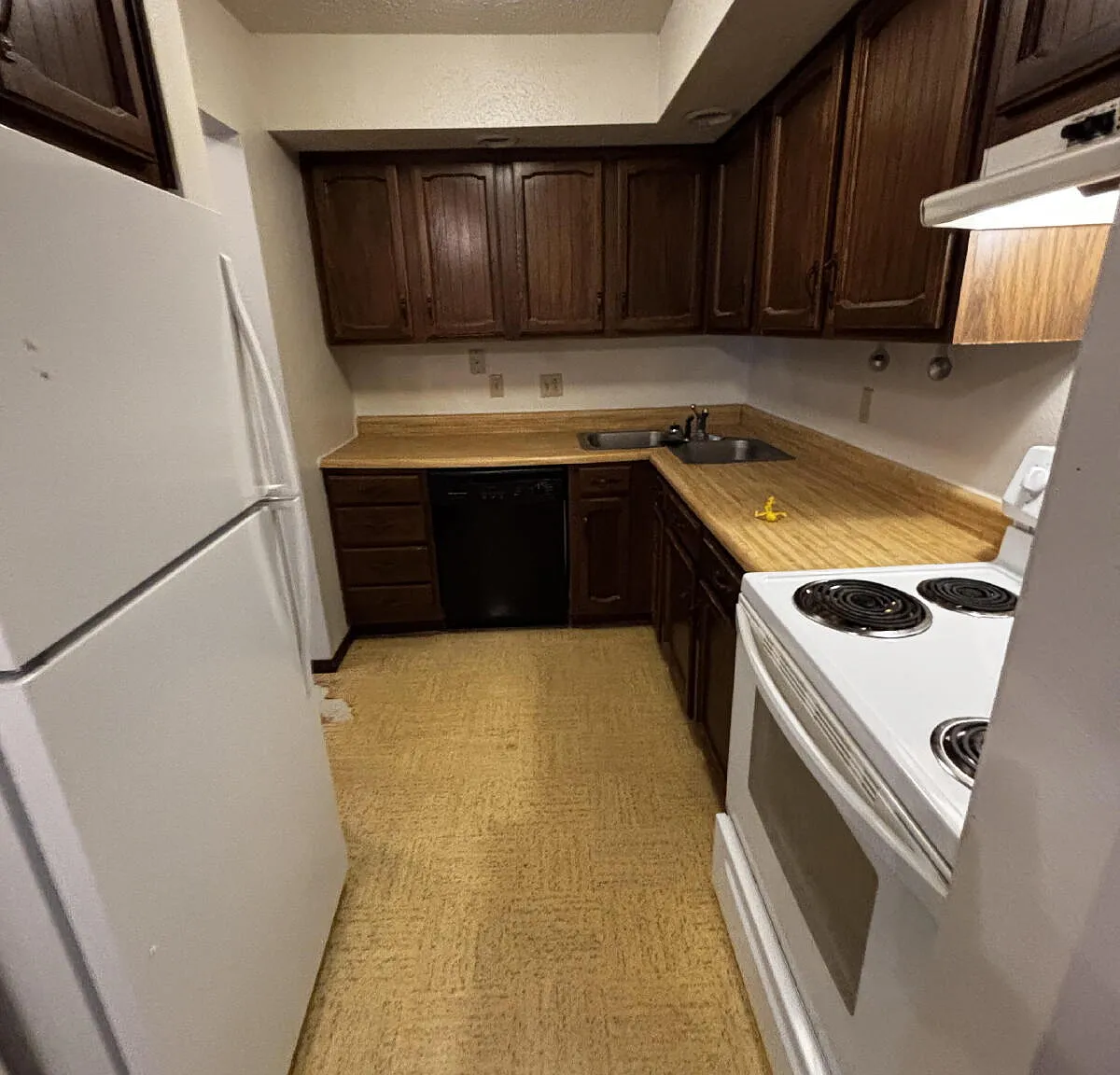 2 bed, 1.0 bath, 955 sqft, $795 — Photo 3