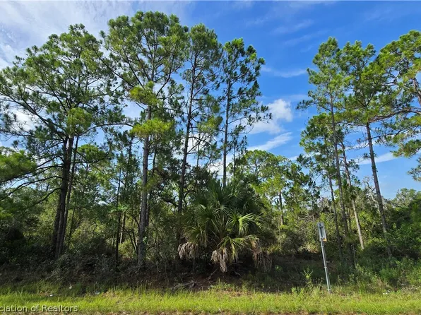 333 Moon Glow Ave, Lake Placid, FL 33852