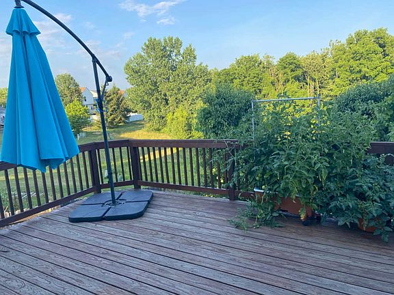 5th image of 8153 Arbor Rose Way