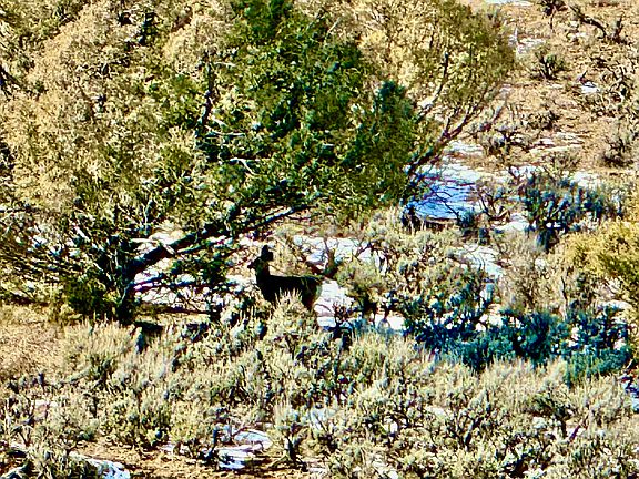 5th image of S Rockcliff Cir Lot 30