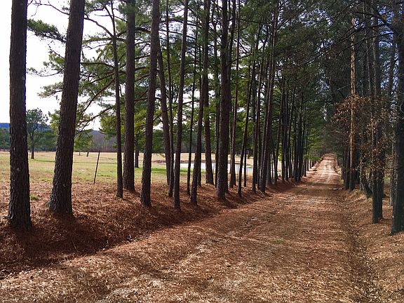 Road On the left of property