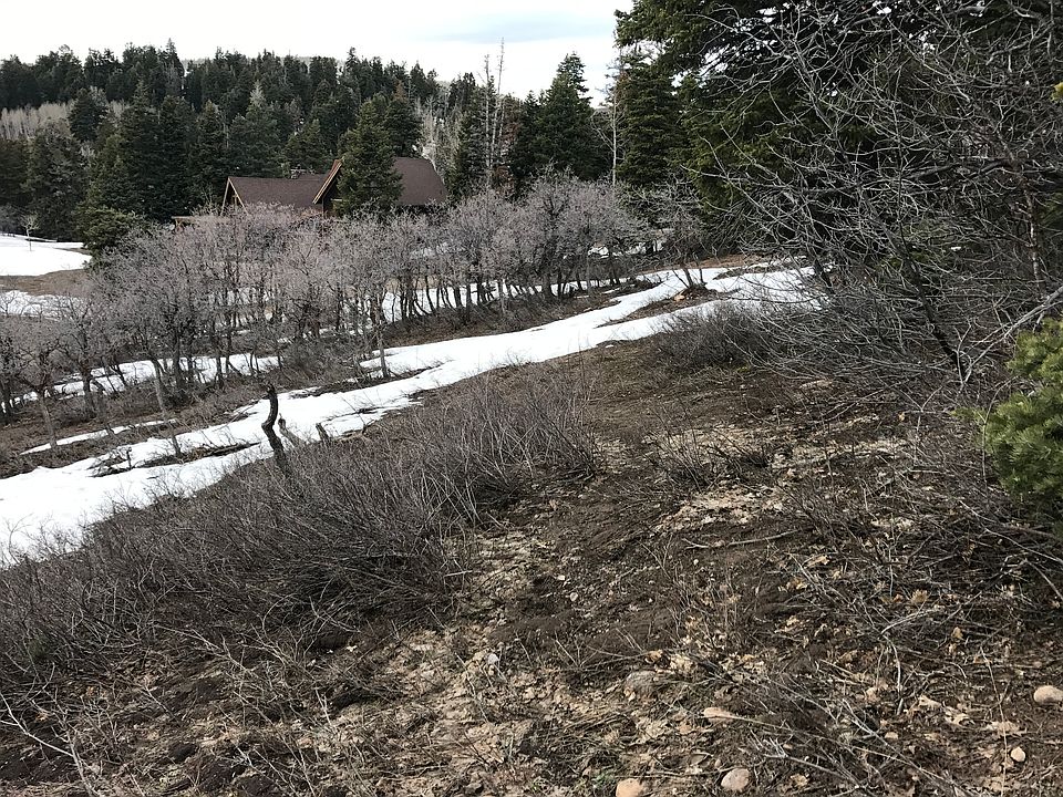 1st image of 1335 W Arapaho Dr