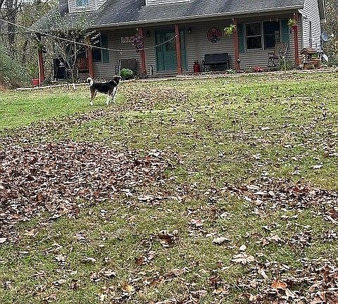 3rd image of 640 Bridwell Ln