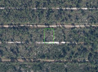 437 Parakeet Ave, Sebring, FL 33872