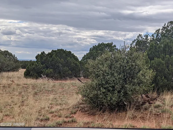 Lots 141 & 142 Show Low Pnes, Concho, AZ 85924