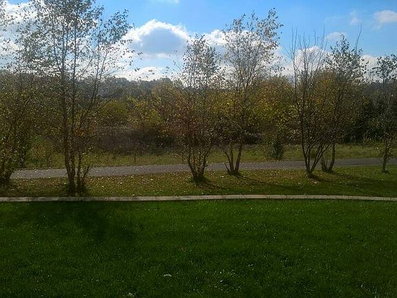 Nature preserve behind home