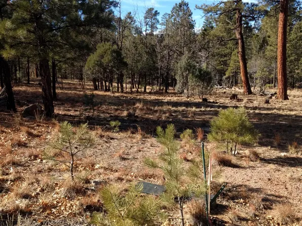 4357 JUNIPER Drive #100, Happy Jack, AZ 86024