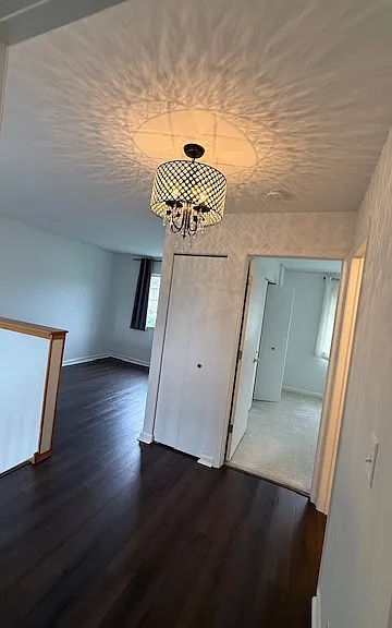 10856 Cape Cod Ln — Photo 11