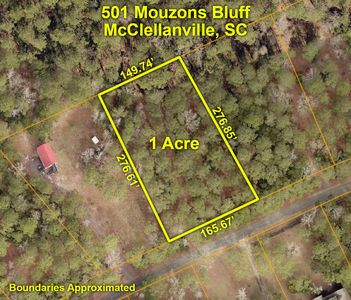 501 Mouzons Blf, Mc Clellanville, SC, 29458