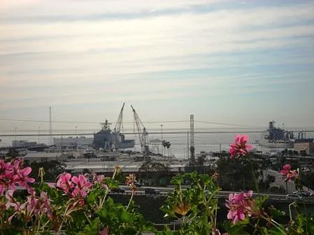 801 National City Blvd #808