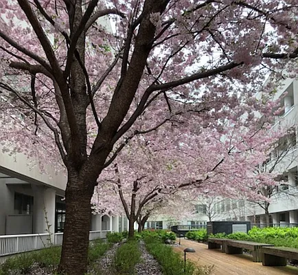 Rented by Compass | media 14