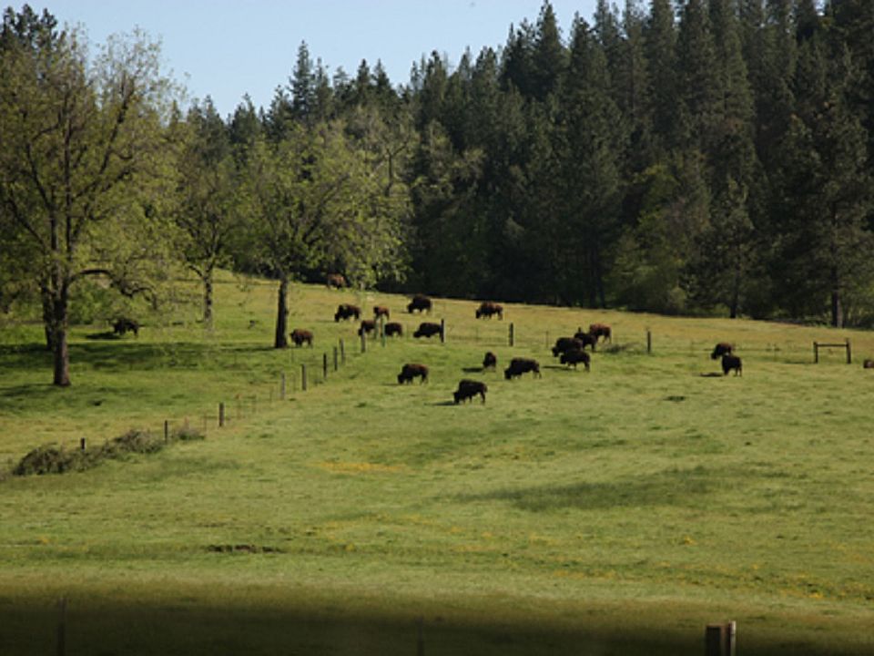 177 Railroad Flat Road, Railroad Flat, CA 95248 Zillow