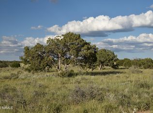 4133 N Alta Villa Rd, Williams, AZ 86046