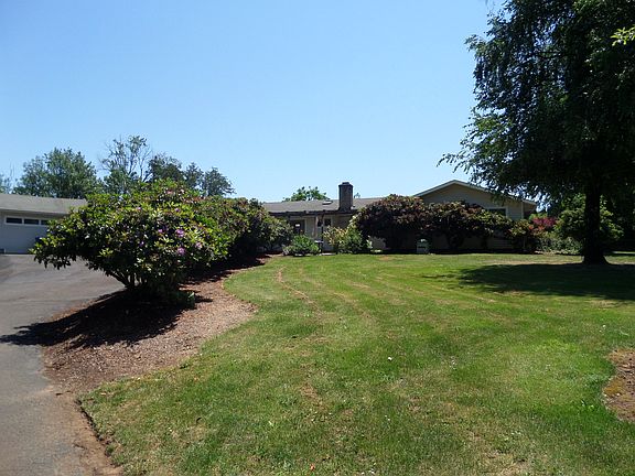 Front Yard / Driveway (left)