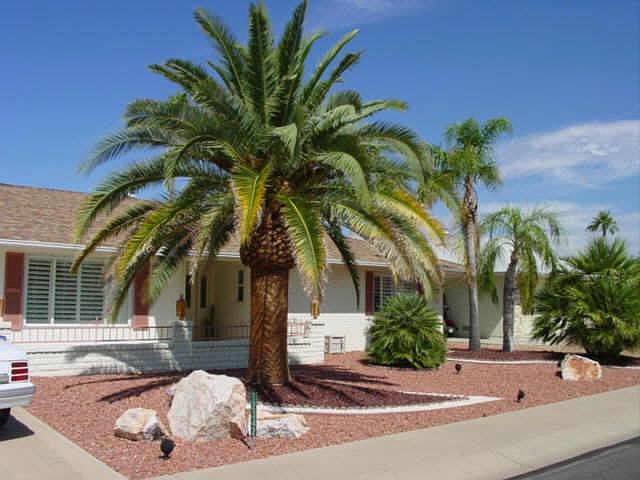 1st image of 12342 W COUGAR Drive