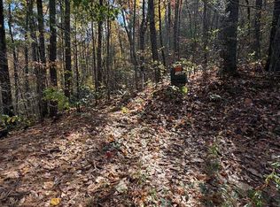 47 & 48 Little Secret Ln, Murphy, NC 28906