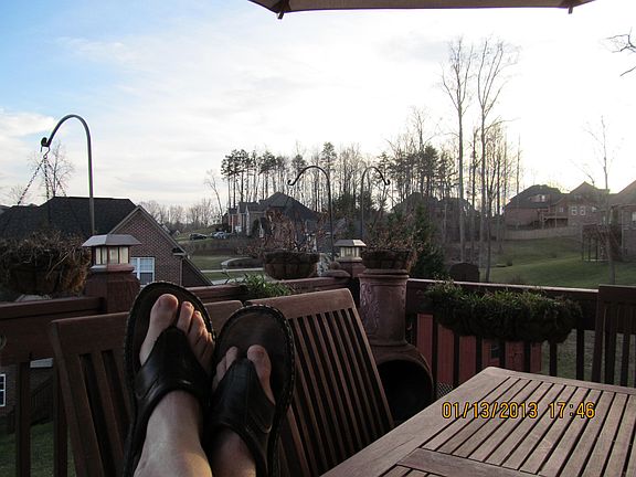 Deck view (late summer)