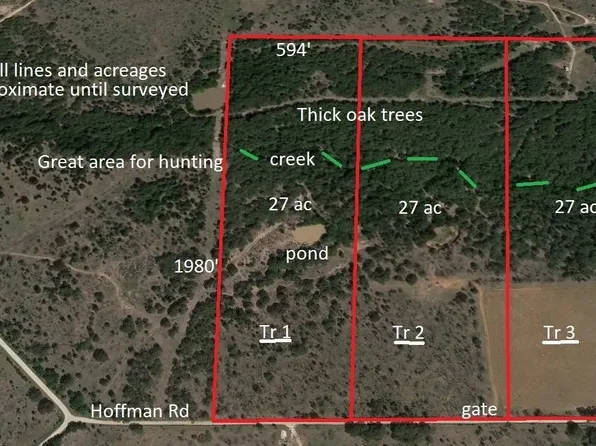 Township Road 1 Hoffman Rd, Loving, TX 76460
