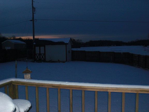 Back Yard - from the deck