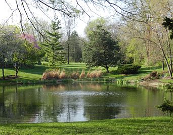 POND VIEW