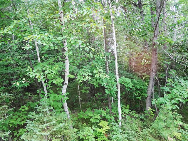 1st image of Balsam Dr