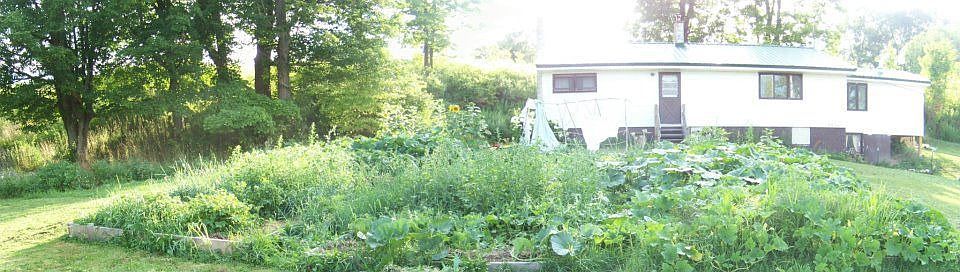 View of home and raised beds