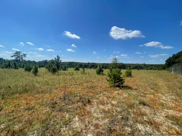 1342 Boy Scout Rd, Defuniak Springs, FL 32435