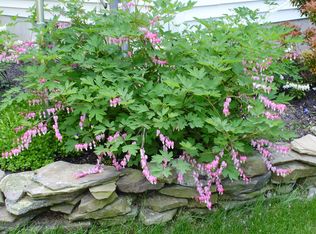 186 Murnin, Lake Ariel, PA 18436