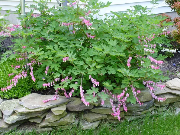 186 Murnin, Lake Ariel, PA 18436