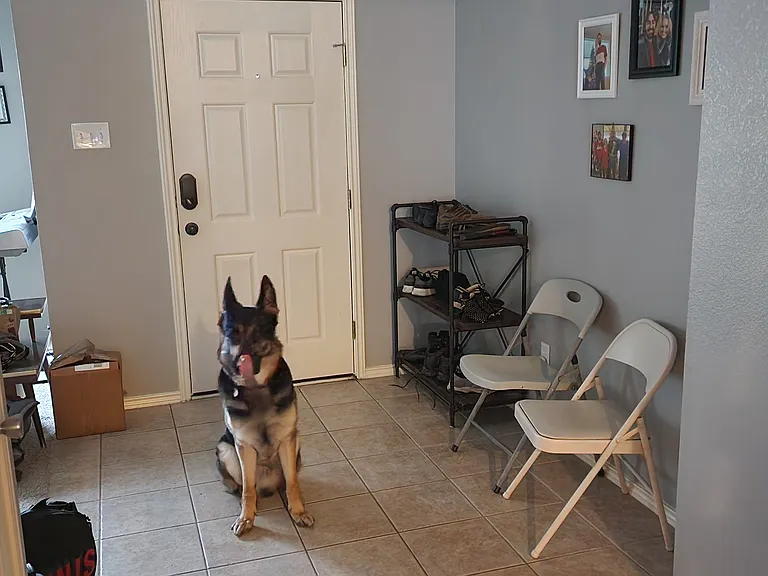 5817 Paloma Blanca Dr — Photo 11