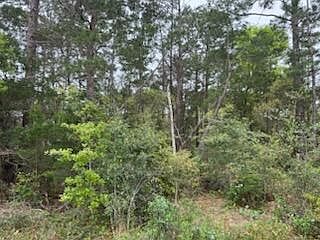 4th image of 7117 Snug Waters Rd