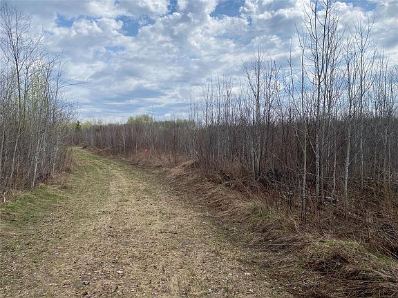 4th image of Near Wilson Lake Road