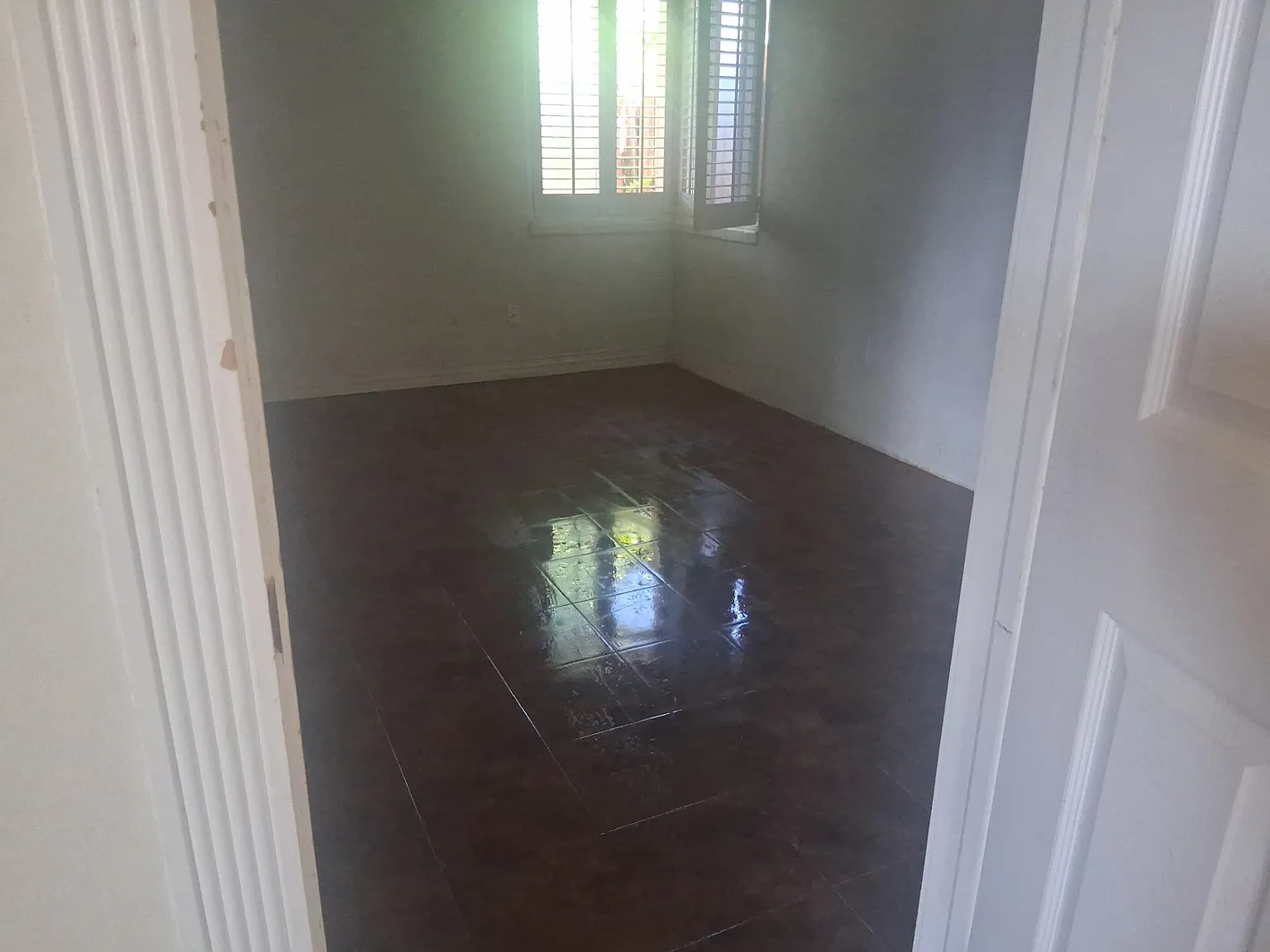 1 bed, 512 sqft, $1,300 — Photo 1