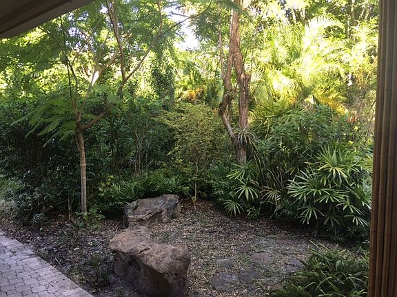 mature landscaping with rock