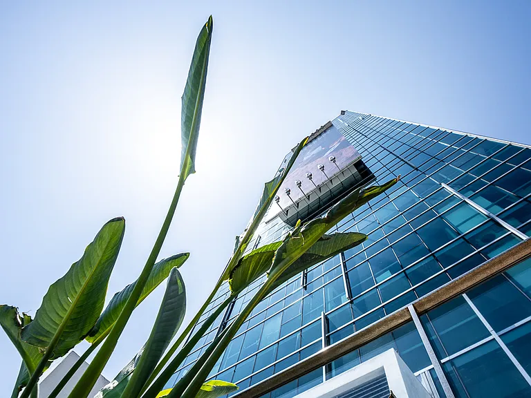 Sunset Vine Tower — Photo 65