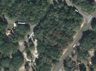 0 SE Bay Rd, Ocklawaha, FL 32179
