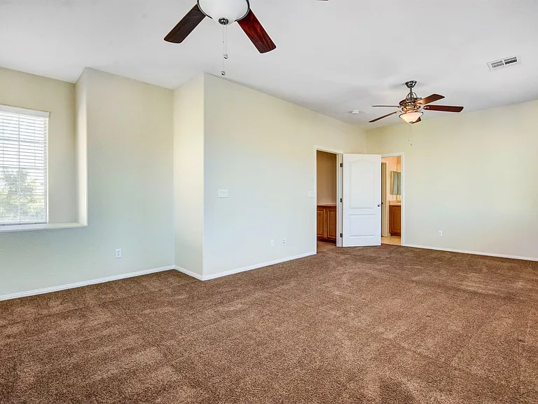 8285 Begonia Blush Dr — Photo 11