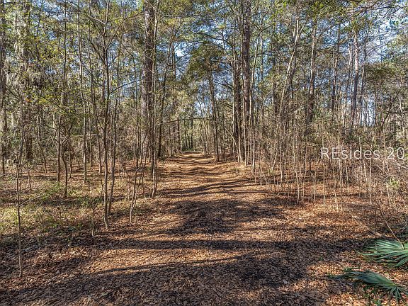 2nd image of 275 Spring Island Dr