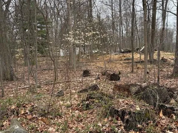 1716 Snyder Rd, Green Lane, PA 18054