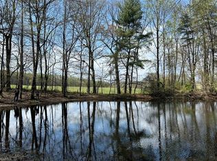 Caves Mill Rd, Dobson, NC 27017