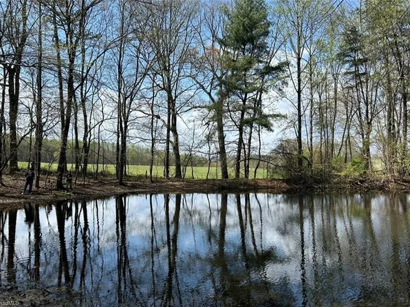 Caves Mill Rd, Dobson, NC 27017