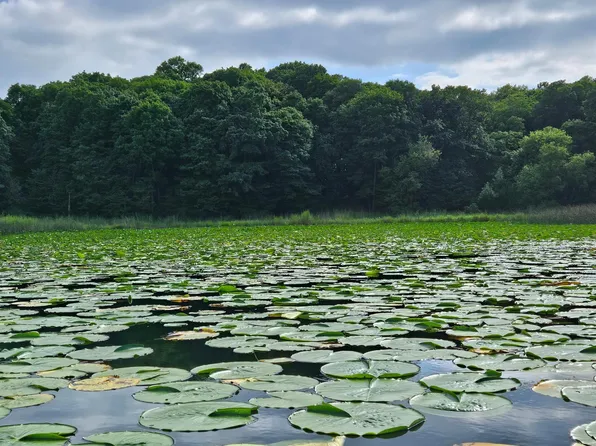 Valley Ln SW, Farwell, MN 56327