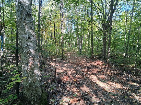 5th image of 4 National Trail Star Lake Rd