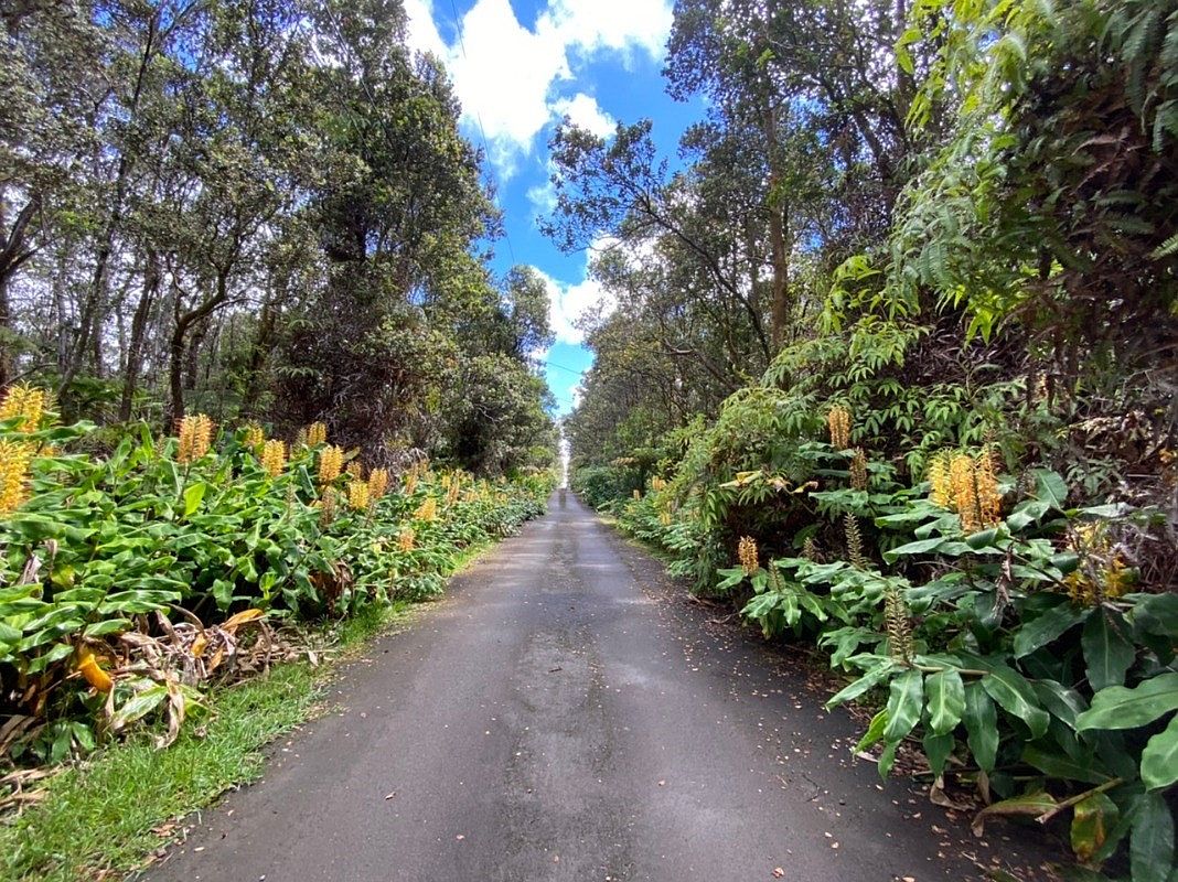807 9th St, Volcano, HI 96785 Zillow