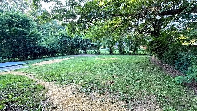 3 bed, 1.0 bath, 950 sqft, $1,350 — Photo 2
