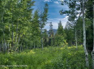 6220 W Heck Of A Hill Rd, Wilson, WY 83014