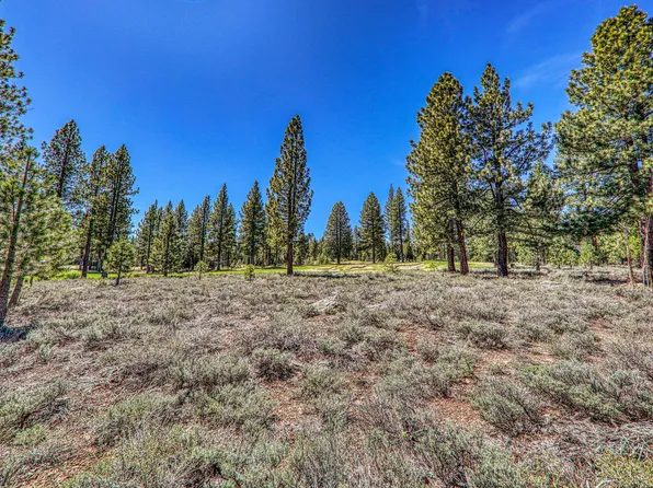 9364 Heartwood Dr, Truckee, CA 96161