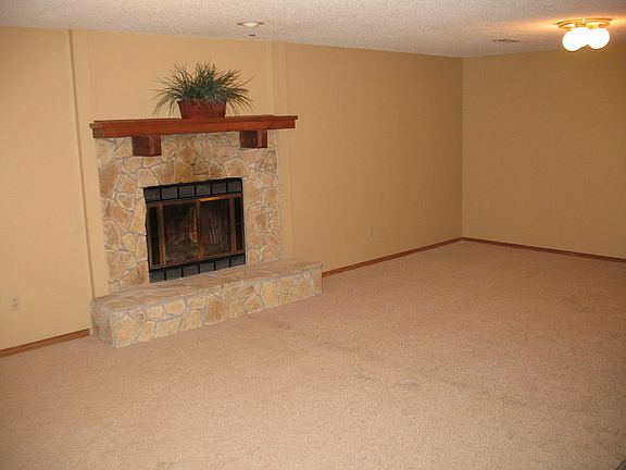 Basement Fireplace