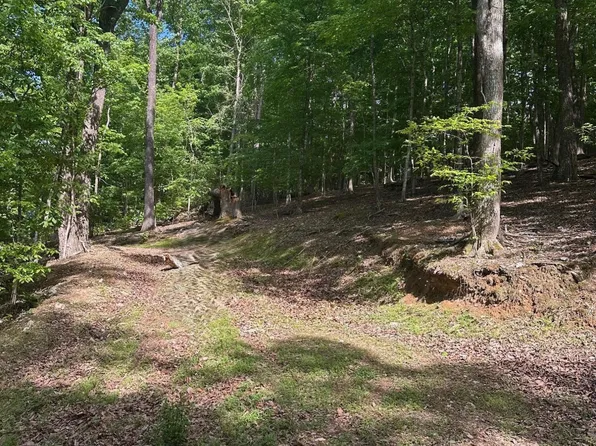 490 Fox Ridge Ln, Caryville, TN 37714